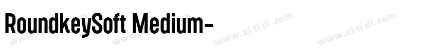 RoundkeySoft Medium字体转换